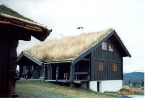 Ferienhaus Wadahl - Norwegen